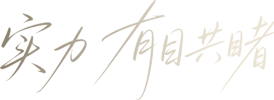 实力 用芯说话