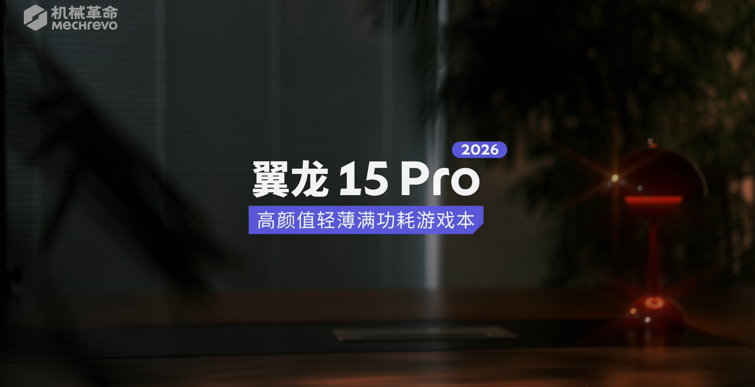 翼龙 15 Pro