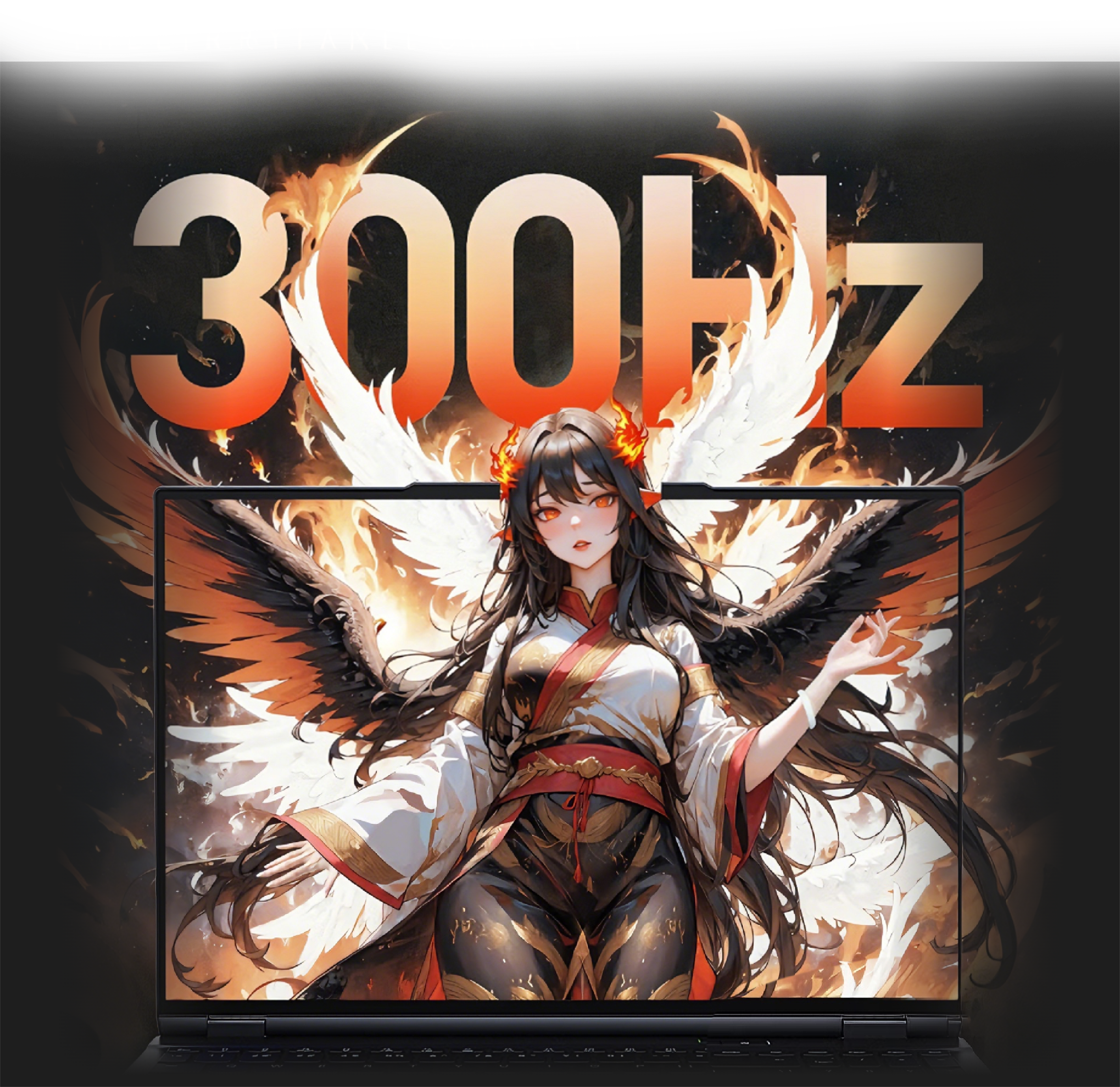 300Hz